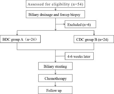 Brachytherapy Drainage Catheter and Chemotherapy for Unresectable Pancreatic Carcinoma Combined with Obstructive Jaundice